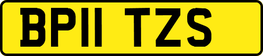 BP11TZS