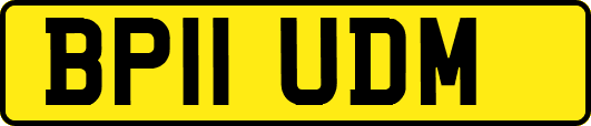 BP11UDM