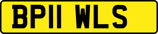 BP11WLS