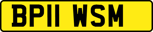 BP11WSM