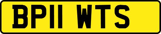 BP11WTS