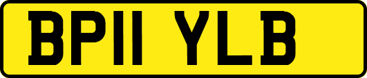 BP11YLB