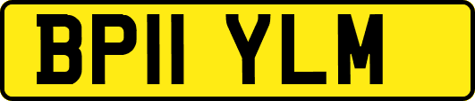BP11YLM