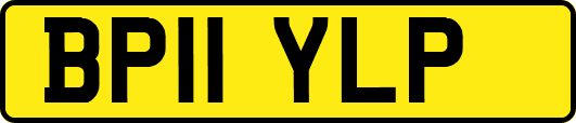 BP11YLP