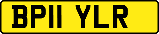 BP11YLR