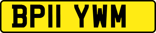 BP11YWM