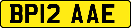 BP12AAE