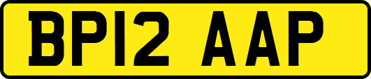 BP12AAP