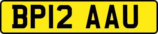 BP12AAU