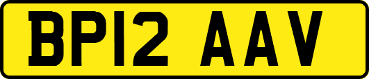 BP12AAV