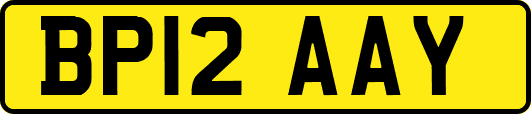 BP12AAY