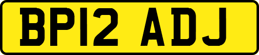 BP12ADJ