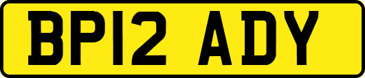 BP12ADY