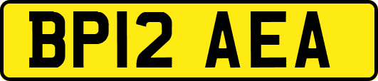 BP12AEA