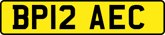 BP12AEC