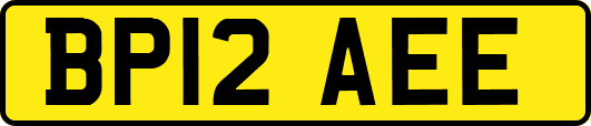 BP12AEE