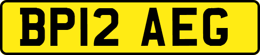 BP12AEG