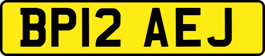 BP12AEJ
