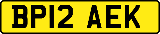 BP12AEK