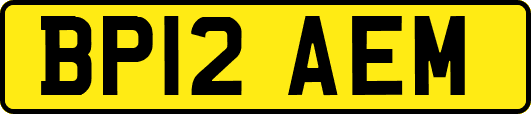 BP12AEM
