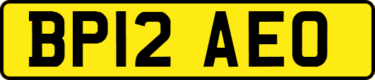 BP12AEO