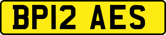 BP12AES