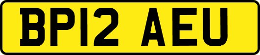 BP12AEU