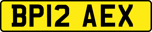 BP12AEX