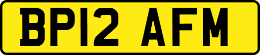 BP12AFM