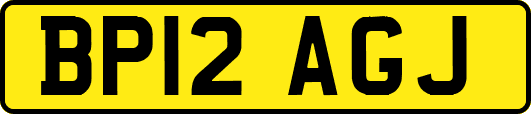 BP12AGJ