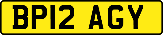 BP12AGY