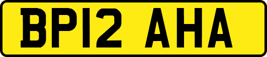 BP12AHA