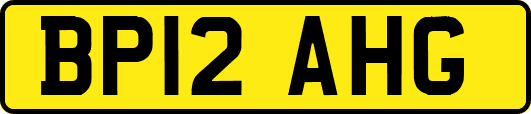BP12AHG