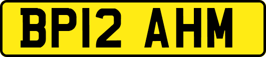 BP12AHM