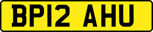 BP12AHU