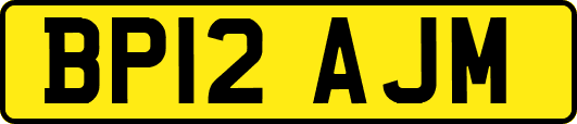 BP12AJM