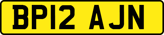 BP12AJN