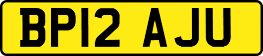 BP12AJU