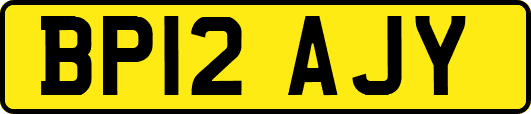 BP12AJY