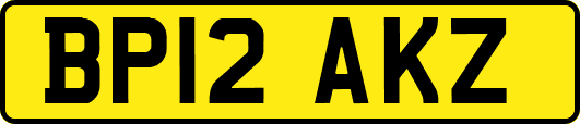 BP12AKZ