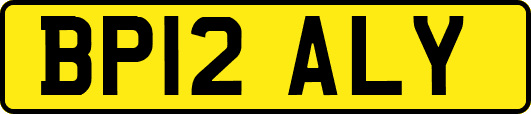 BP12ALY