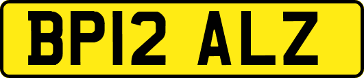 BP12ALZ