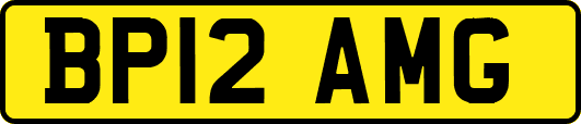 BP12AMG
