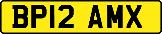BP12AMX