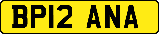 BP12ANA