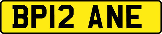 BP12ANE