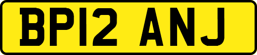 BP12ANJ