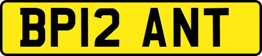 BP12ANT