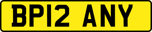 BP12ANY