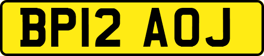BP12AOJ